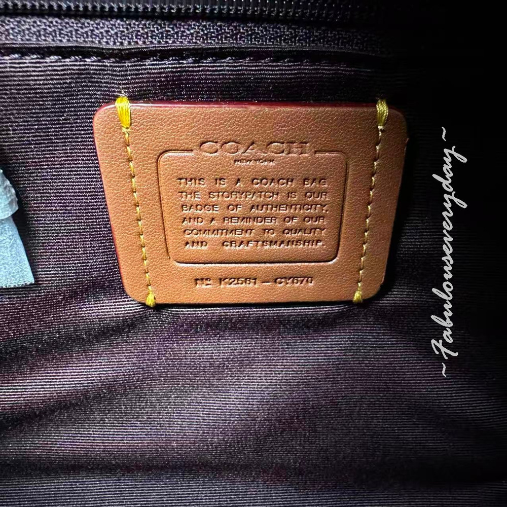 Coach Maggie Small Tote Bag Crossbody In Signature Leather/Sv/Jasmine CY670 NWT - Picture 8 of 8